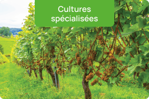 Cultures spécialisées
