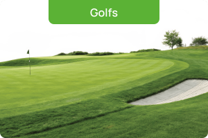 Golfs