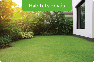 Habitats privés