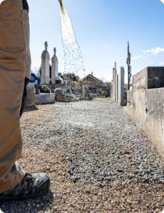 Végétalisation d'un cimetière par hydroprojection de semis